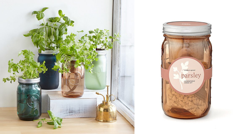 Two images side by side, the first of a series of herbs in jars and the second of the same product without the plants and with seeds and a label.