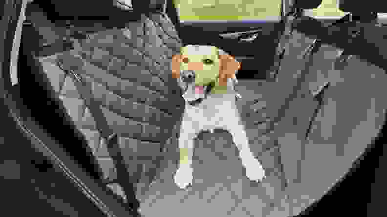 An image of a gray seat cover in a car with a dog sitting on it.
