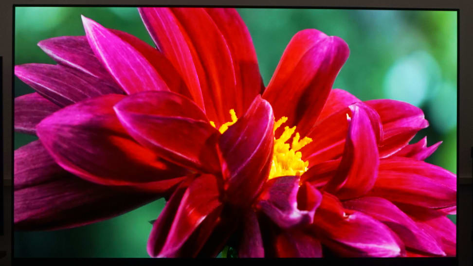 red-flower