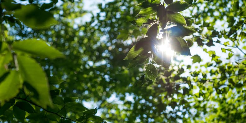 A cropped version of a sample photo shot by the Panasonic G7.