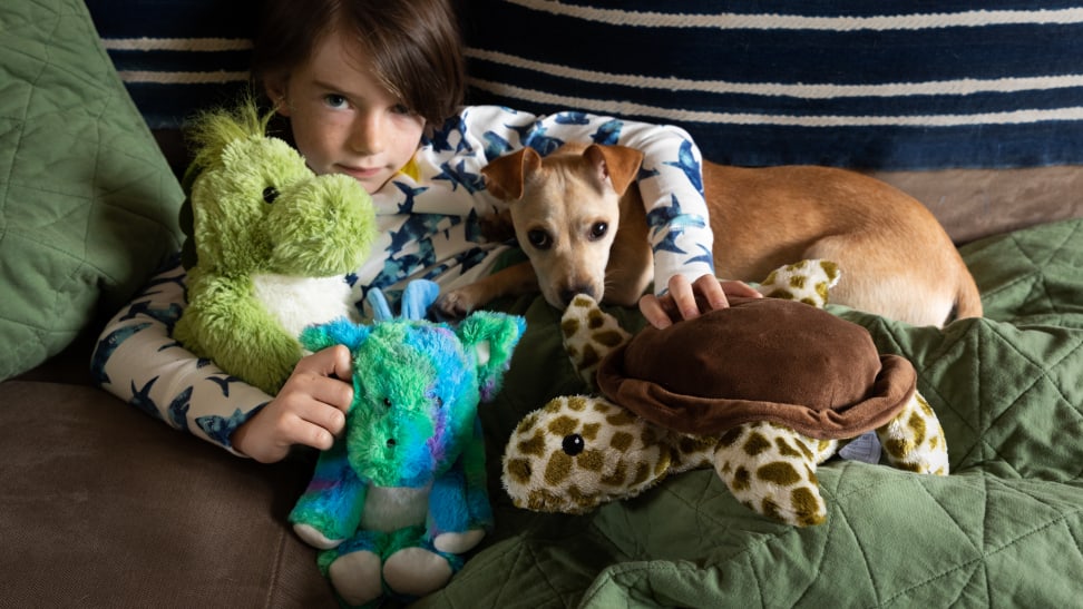 A child cuddles stuffed animals and a puppy
