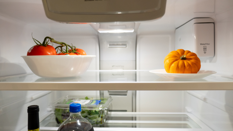 Close-up view of the top shelf of the refrigerator.