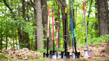 Several garden shovels stuck into the ground next to one another