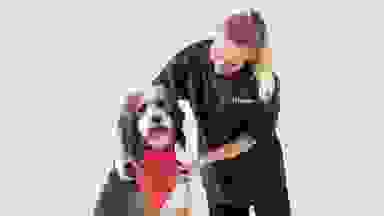 PetSmart grooming employee adjusts a red bandana on a dog