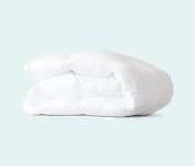 Product image of Leesa Duvet Insert