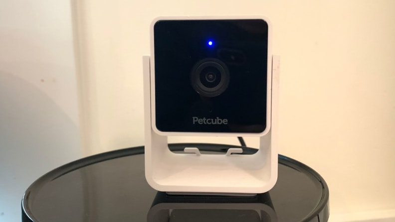 The Petcube Cam sits on a black surface.