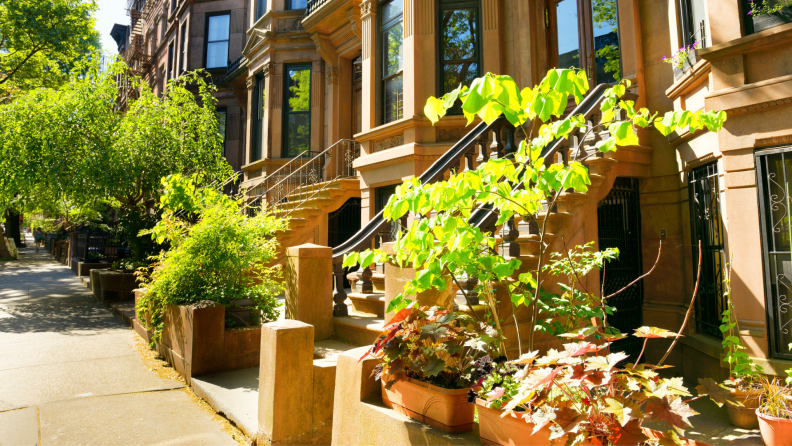 Multiple plants on stoop steps outside of brownstone apartments.