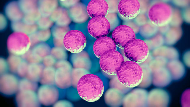 7. Drug-resistant Bacteria