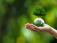 Hand holding small green globe wit small tree sprouting from it