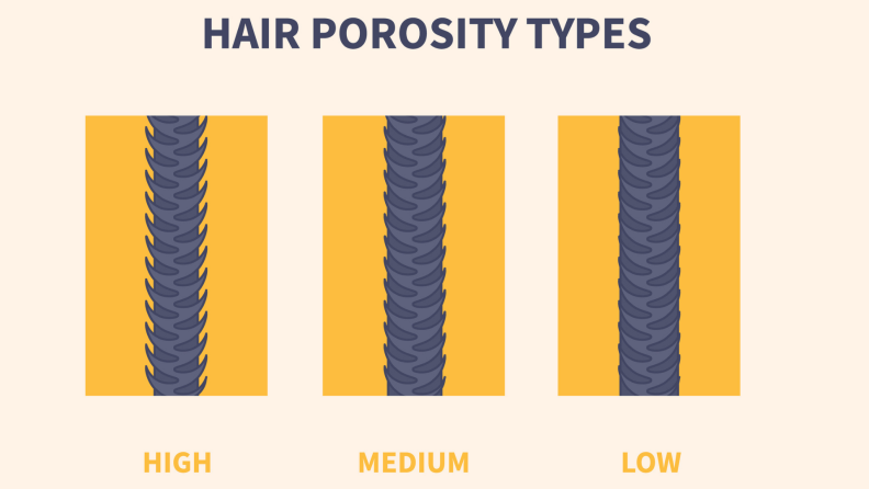 A graphic showing how the hair shaft looks for each of the different hair porosity types.
