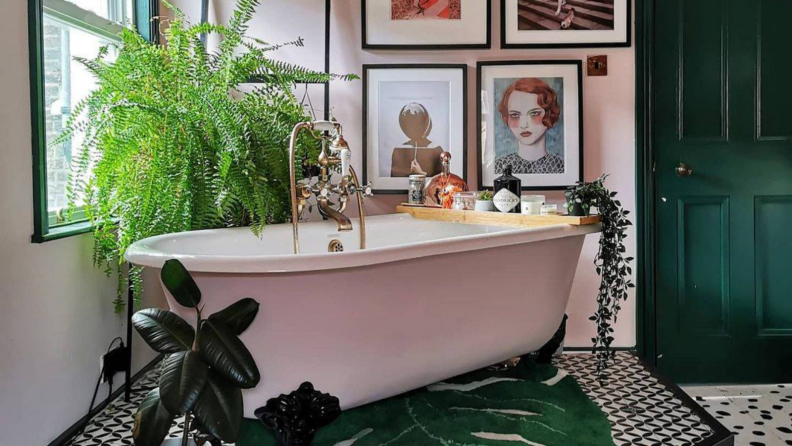 粉红色的浴缸有许多植物。