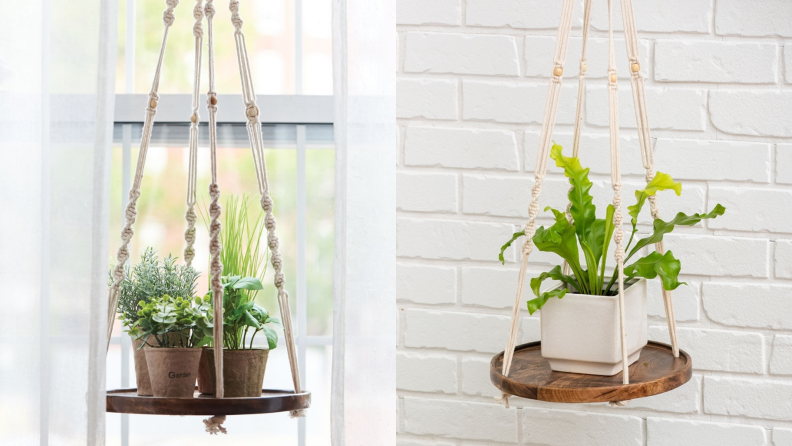 Potted plants sit on a hanging macrame shelf.