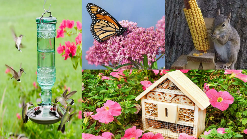 10 products that will help attract wildlife to your own backyard