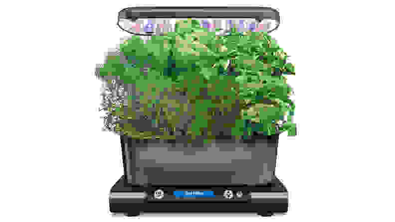 Aerogarden plant box with herbs