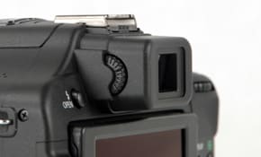 EVF Photo 2