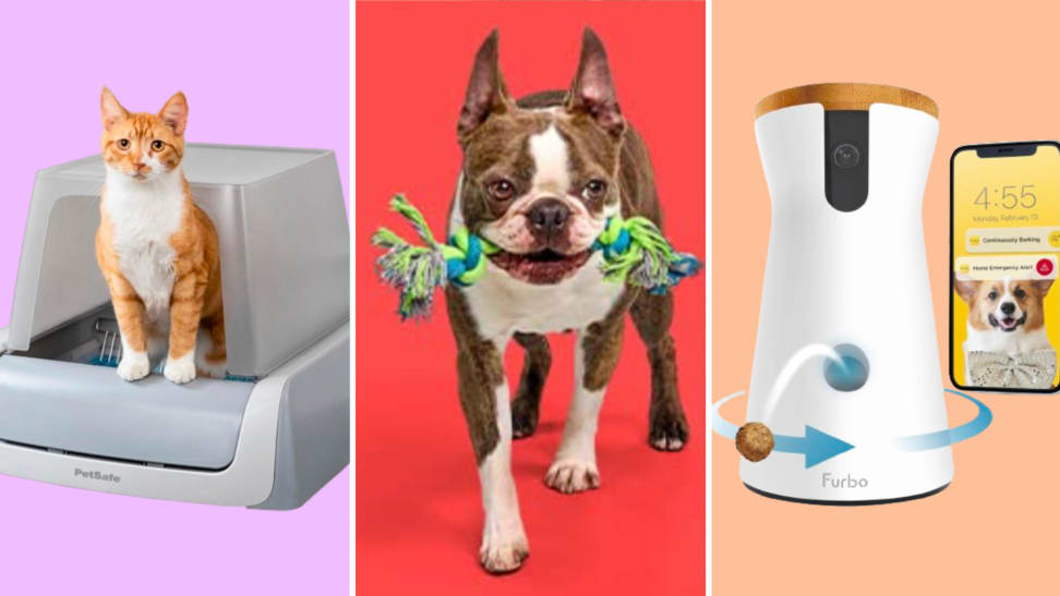 10 best Amazon Pet Day deals to shop before the sale ends