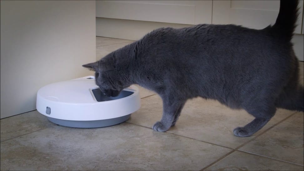 Cat Mate