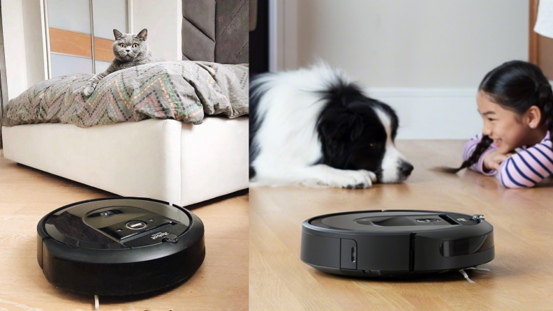 Cat staring wearily at a Roomba next to a child staring at a dog while a Roomba is nearby