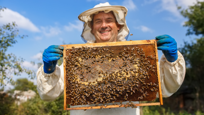 A beekeeper posing and collecting honey.