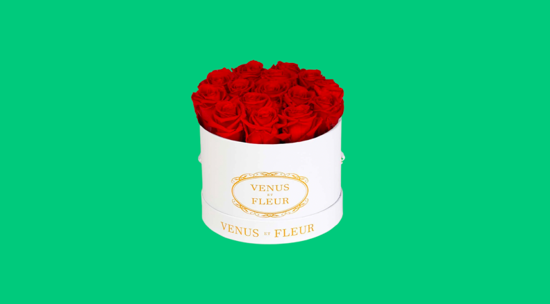 roses venus et fleur