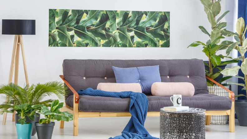Plants-make-the-room