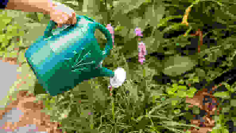 A person pours water of out of a green Cado watering can onto a plant.