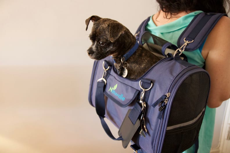 A pet owner wears the Natuvalle 6-in-1 backpack, as their dog sits inside.