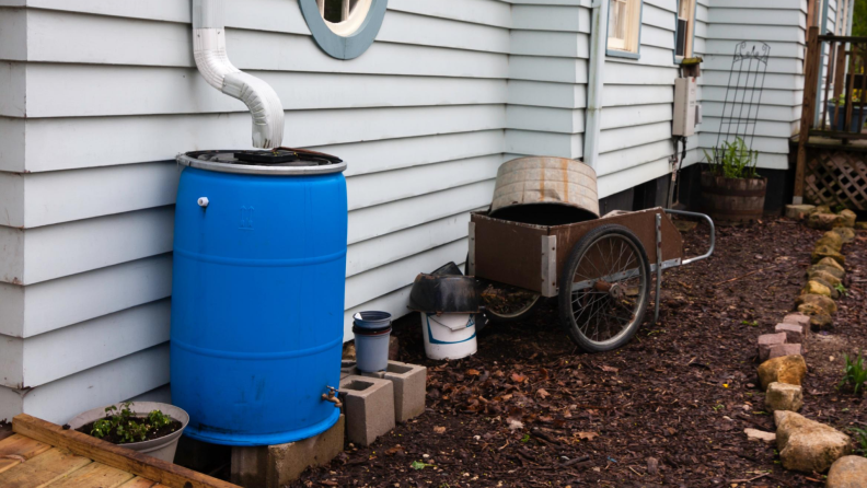 rain barrel captures rainwater