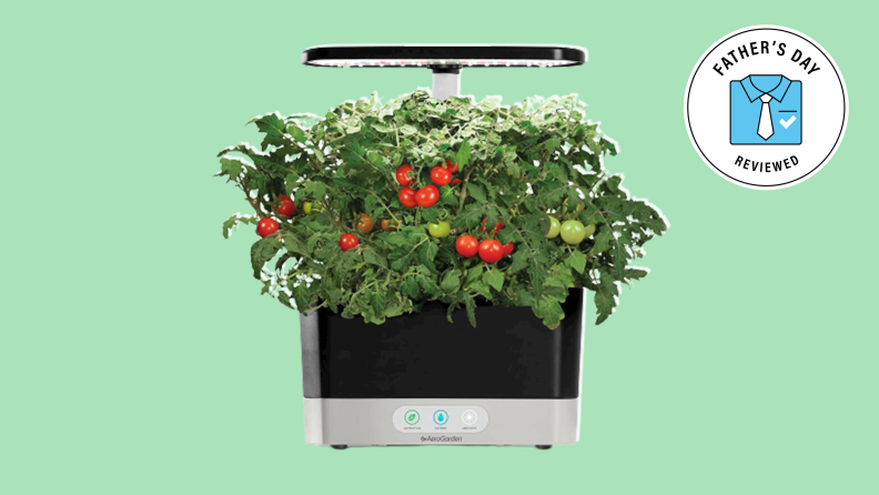 Best Lawn and Garden Father's Day Gifts: AeroGarden Harvest