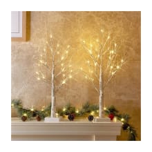 Product image of Peiduo 2 Foot Birch Tree with LED Lights