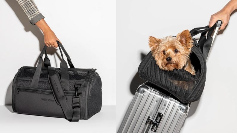 Puppy in Wild One carrier