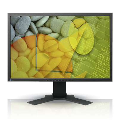 Product Image - Eizo FlexScan S2202W