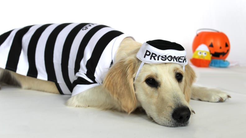 Prisoner