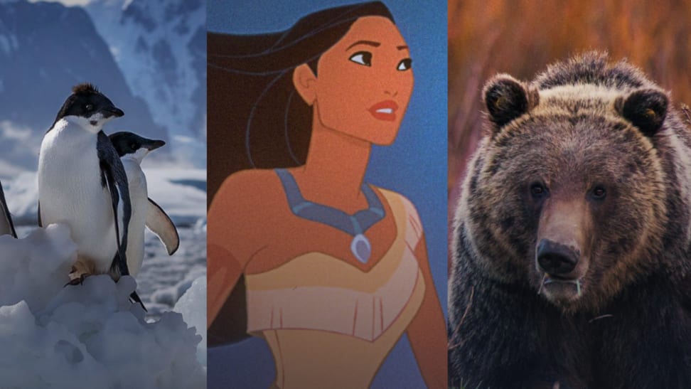 Screenshots of Penguins, Pocahontas, and Wild Yellowstone on Disney+