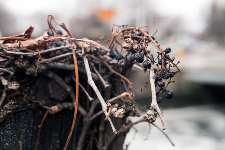 EXIF: 35mm, 1/70, f/5.6, ISO 200
