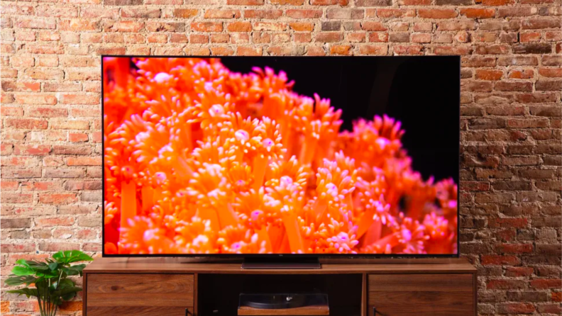 An image of a large flatscreen TV with a coral reef image displayed, in front of a brick wall.