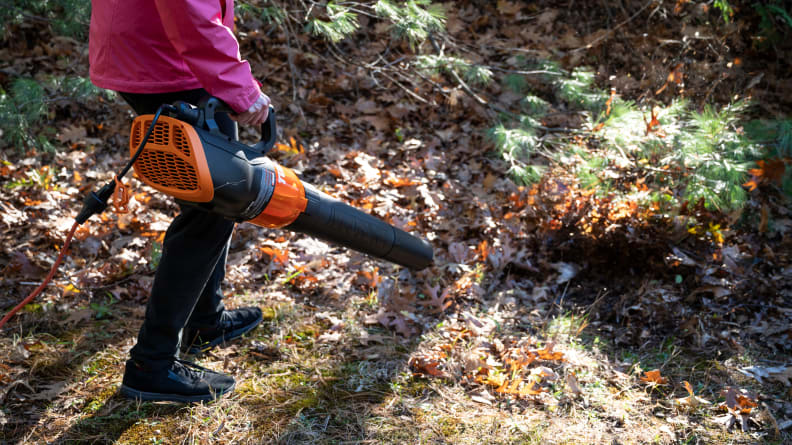 I used four different tools to get rid of leaves — here's what worked best