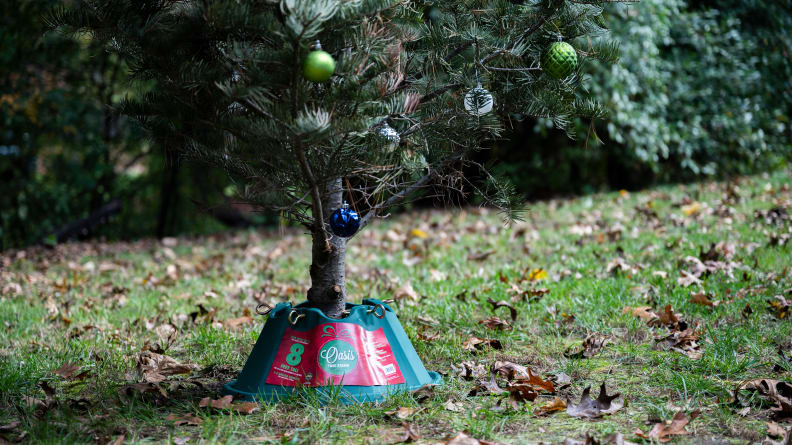 12 Best Christmas Tree Stands: Our guide for the holidays of 2024 - Reviewed