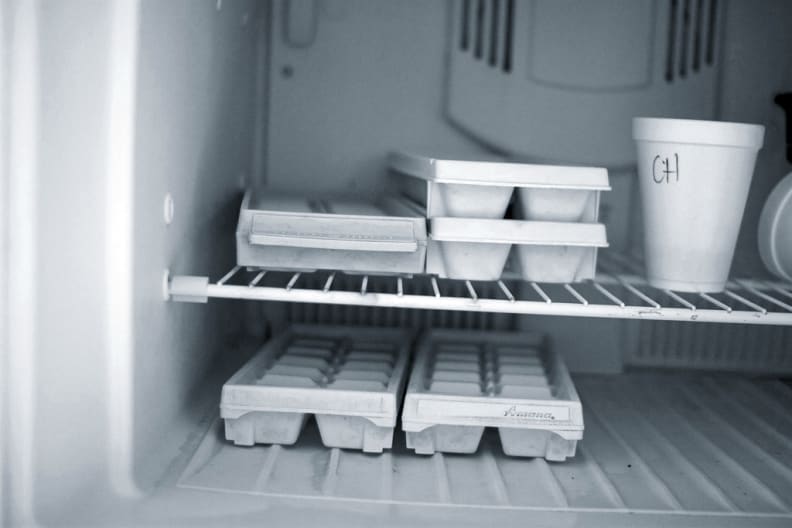 Ic trays in a freezer