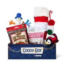 Product image of Goody Box Holiday Dog Toys & Treats