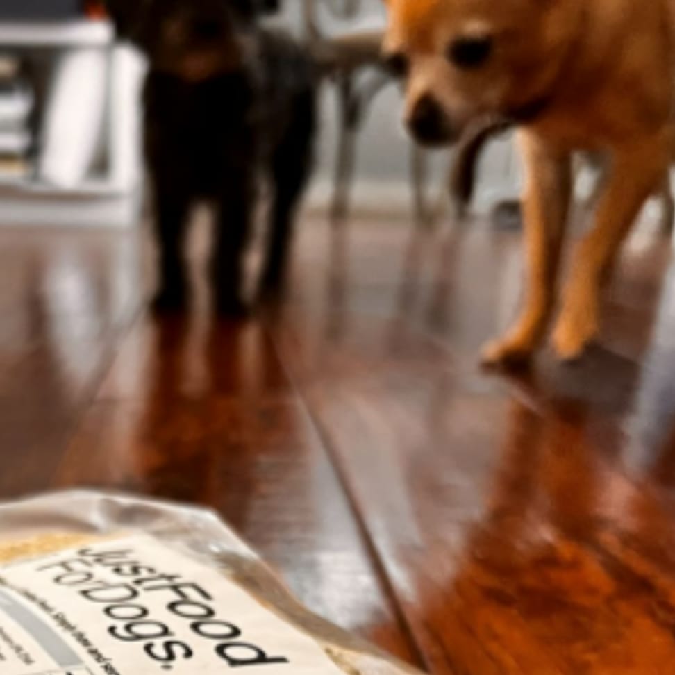 Just food for dogs sales delivery