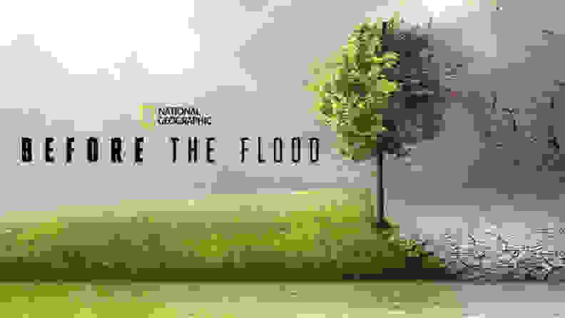 Before the Flood title card