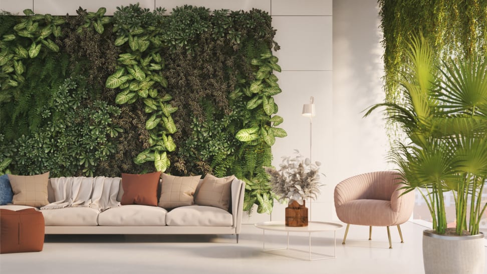 Modern-styled living room with cream couch paired with neutral-toned pillows, chair, and plants.