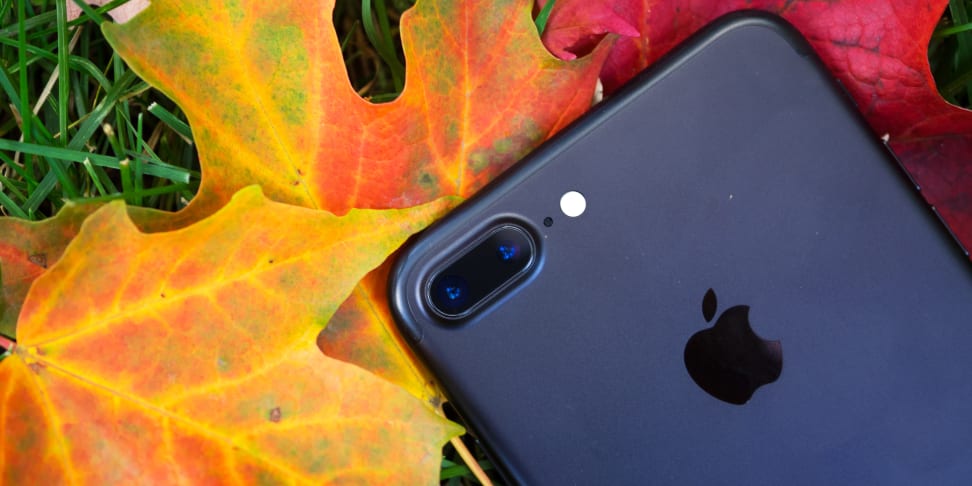 iPhone 7 on leaves