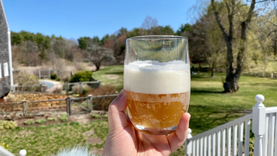 A person is holding an IPA beer in front of a yard.