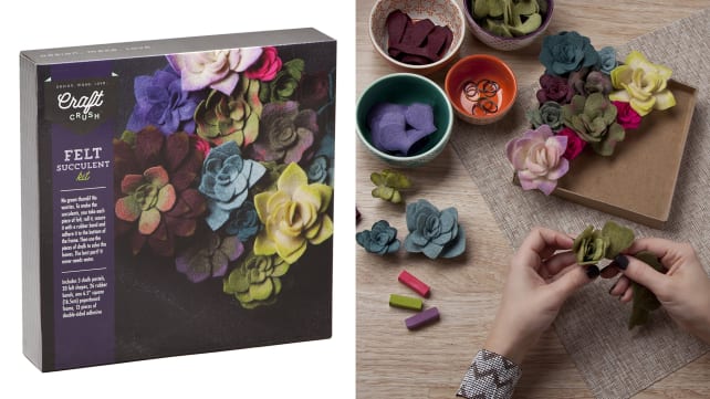 Craft Crush Felt Succulent Kit