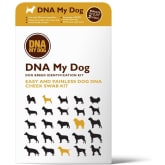 5 Best Dog DNA Tests of 2024 Reviewed