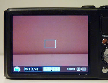 SAMSUNG-TL350-lcd.jpg