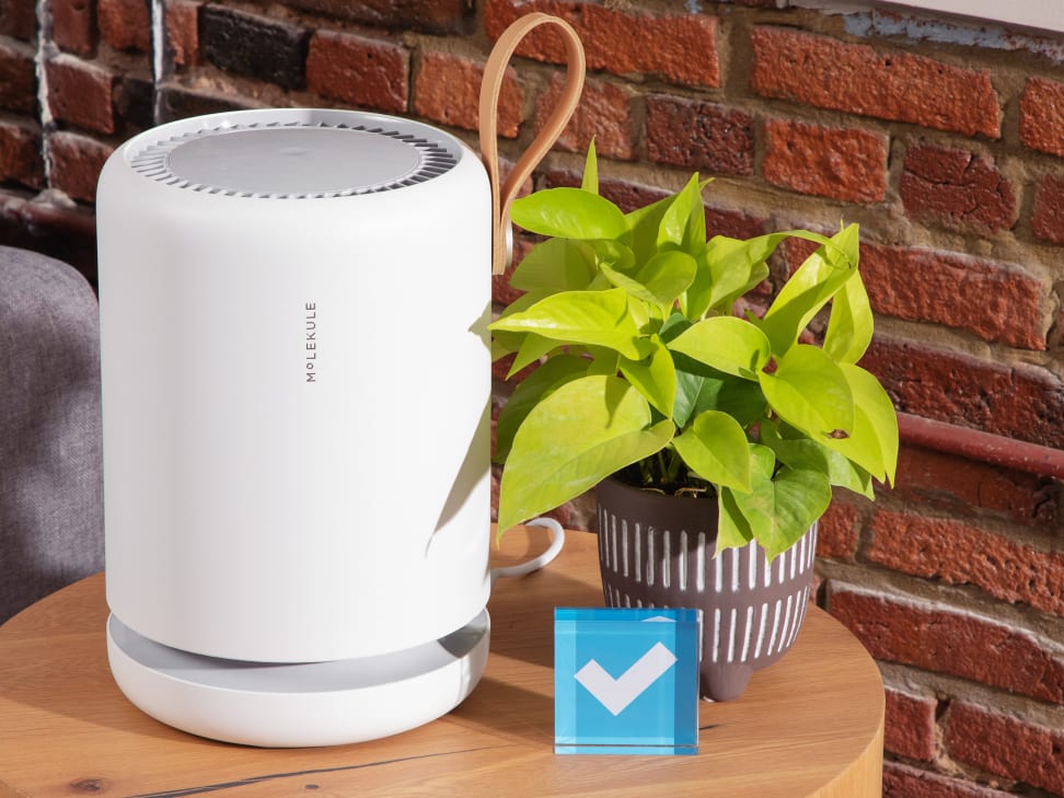Air purifier shop molekule