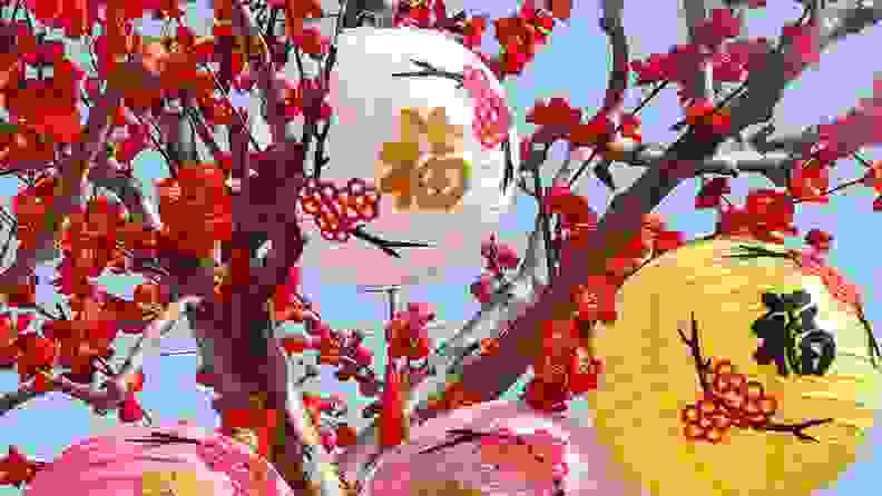 Chinese lanterns in a red cherry blossom tree